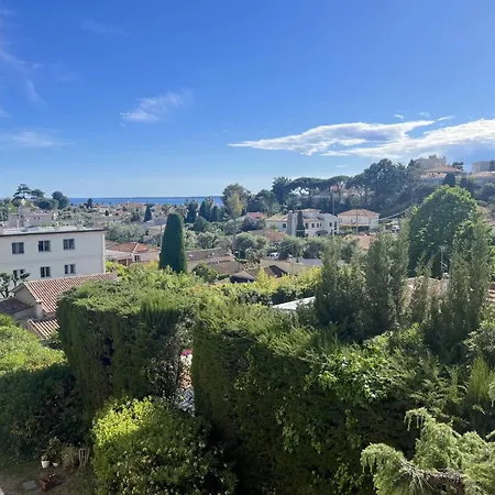 Rose Des Vents Antibes
